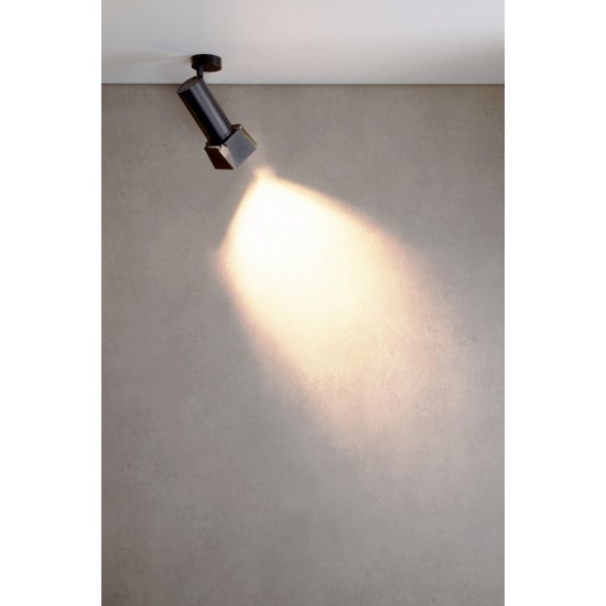 Griestu lampa LUCEA DTW TILT 10W